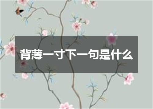 背薄一寸下一句是什么