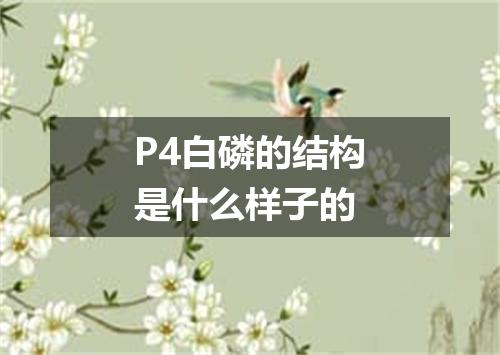 P4白磷的结构是什么样子的
