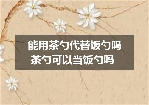 能用茶勺代替饭勺吗 茶勺可以当饭勺吗