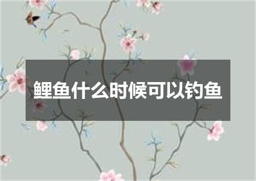 鲤鱼什么时候可以钓鱼