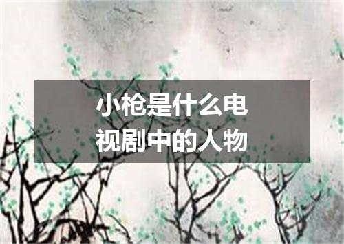 小枪是什么电视剧中的人物