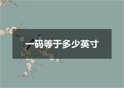 一码等于多少英寸