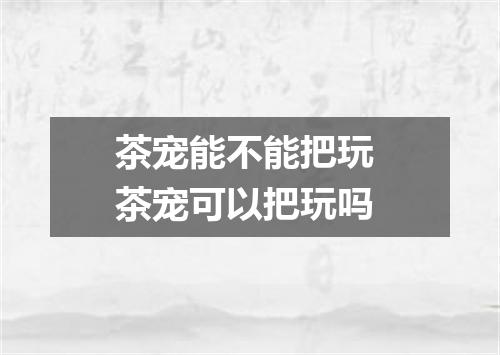 茶宠能不能把玩 茶宠可以把玩吗