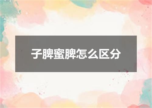 子脾蜜脾怎么区分