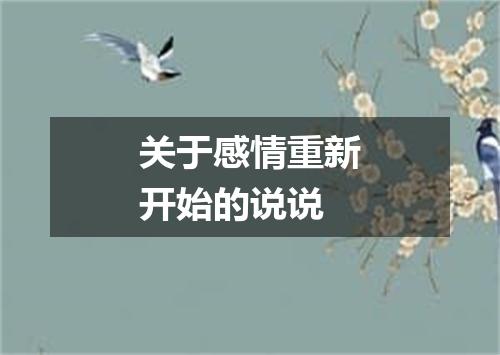 关于感情重新开始的说说