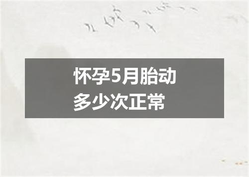 怀孕5月胎动多少次正常