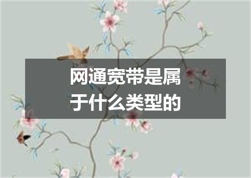 网通宽带是属于什么类型的