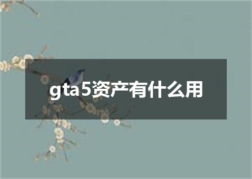 gta5资产有什么用