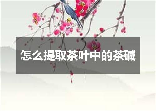 怎么提取茶叶中的茶碱