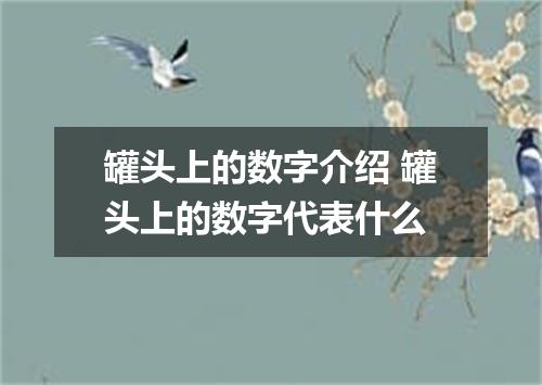 罐头上的数字介绍 罐头上的数字代表什么