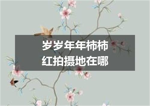 岁岁年年柿柿红拍摄地在哪