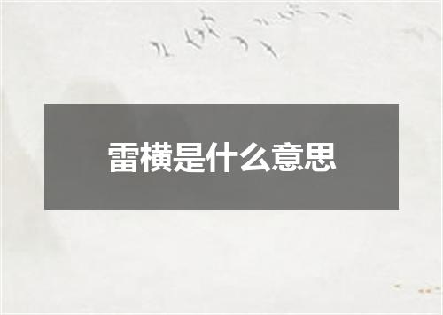 雷横是什么意思