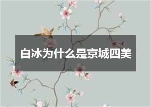 白冰为什么是京城四美