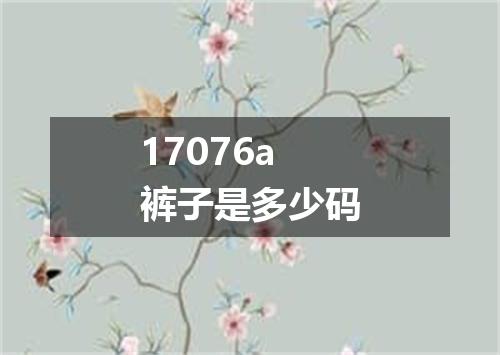 17076a裤子是多少码