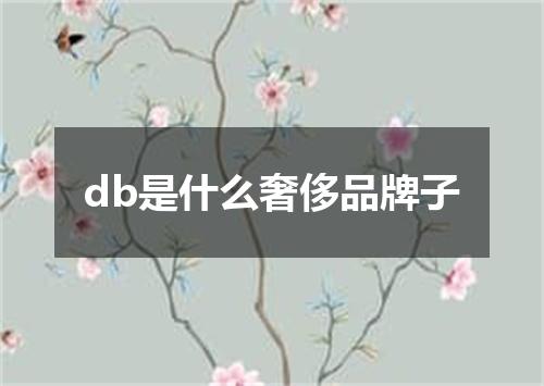 db是什么奢侈品牌子