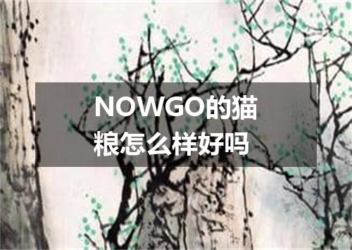 NOWGO的猫粮怎么样好吗