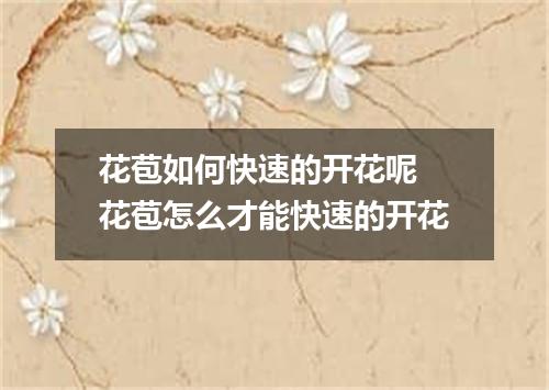 花苞如何快速的开花呢 花苞怎么才能快速的开花