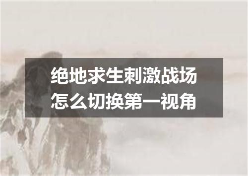 绝地求生刺激战场怎么切换第一视角