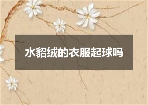水貂绒的衣服起球吗