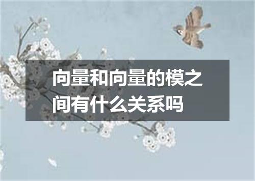 向量和向量的模之间有什么关系吗