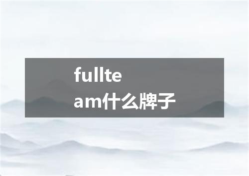 fullteam什么牌子