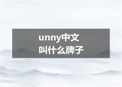 unny中文叫什么牌子