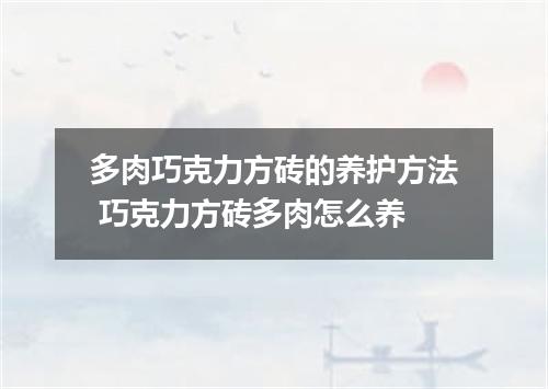 多肉巧克力方砖的养护方法 巧克力方砖多肉怎么养