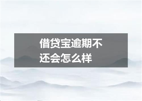 借贷宝逾期不还会怎么样