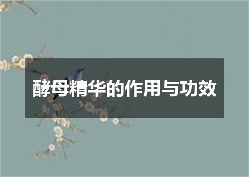 酵母精华的作用与功效