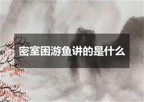 密室困游鱼讲的是什么