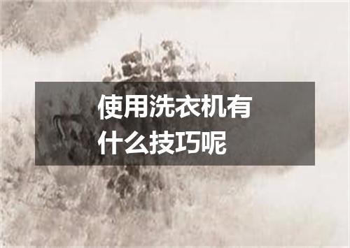 使用洗衣机有什么技巧呢