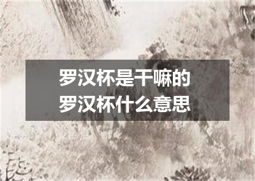 罗汉杯是干嘛的 罗汉杯什么意思