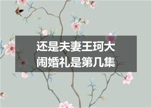 还是夫妻王珂大闹婚礼是第几集