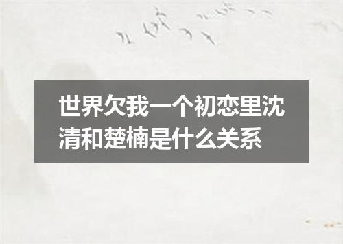 世界欠我一个初恋里沈清和楚楠是什么关系