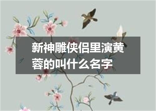 新神雕侠侣里演黄蓉的叫什么名字