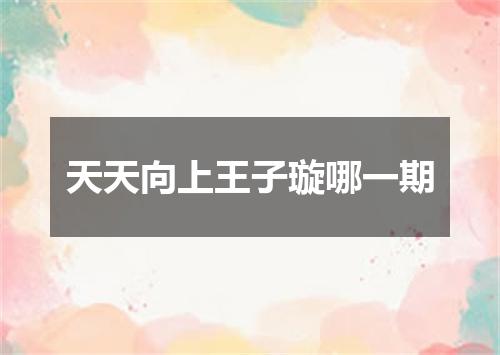 天天向上王子璇哪一期