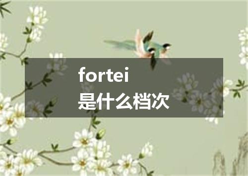 fortei是什么档次