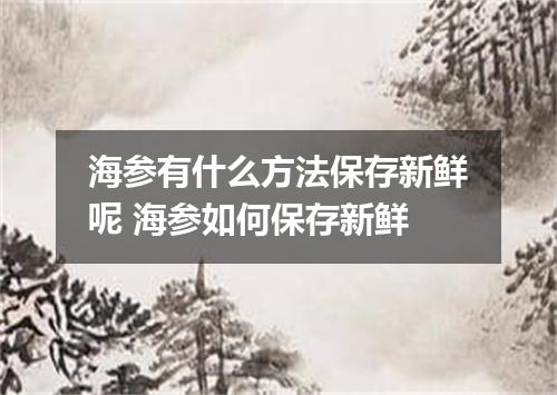 海参有什么方法保存新鲜呢 海参如何保存新鲜