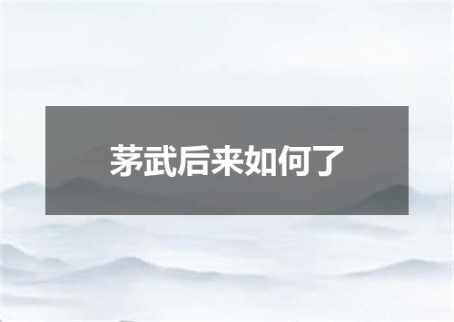 茅武后来如何了