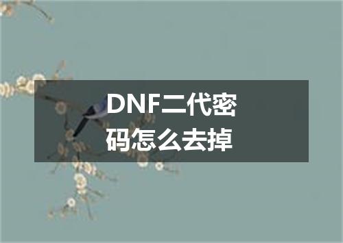 DNF二代密码怎么去掉