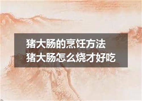 猪大肠的烹饪方法 猪大肠怎么烧才好吃