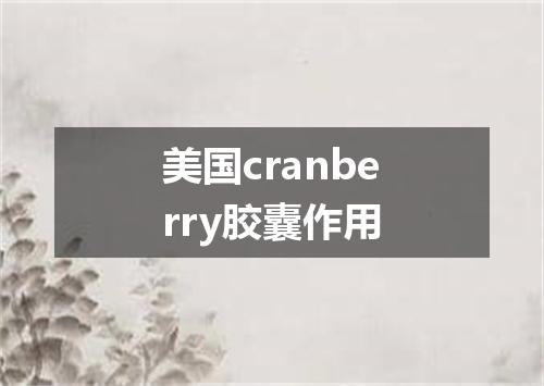 美国cranberry胶囊作用