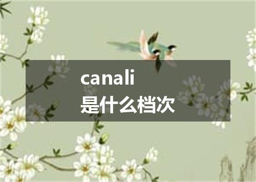 canali是什么档次
