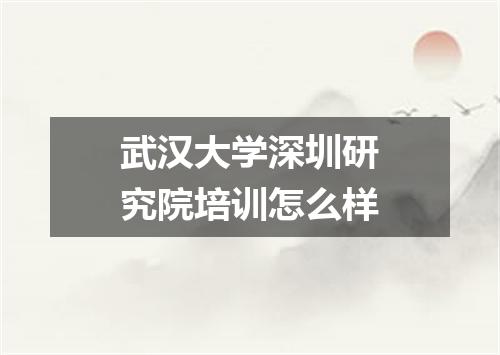 武汉大学深圳研究院培训怎么样