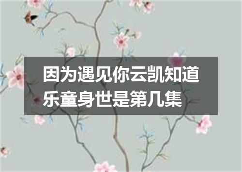 因为遇见你云凯知道乐童身世是第几集