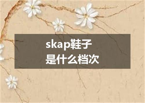 skap鞋子是什么档次