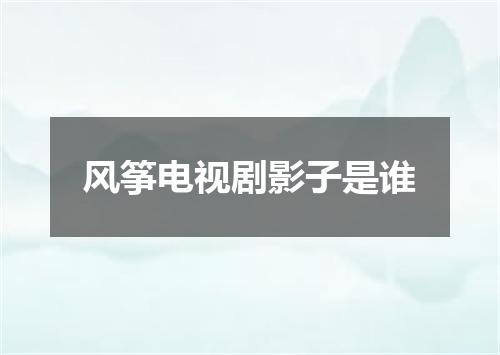 风筝电视剧影子是谁