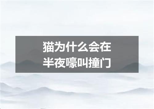 猫为什么会在半夜嚎叫撞门