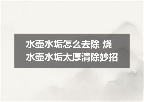 水壶水垢怎么去除 烧水壶水垢太厚清除妙招