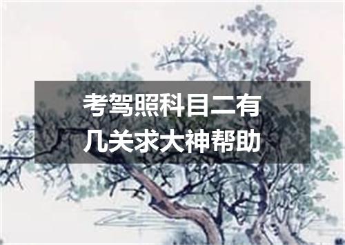 考驾照科目二有几关求大神帮助